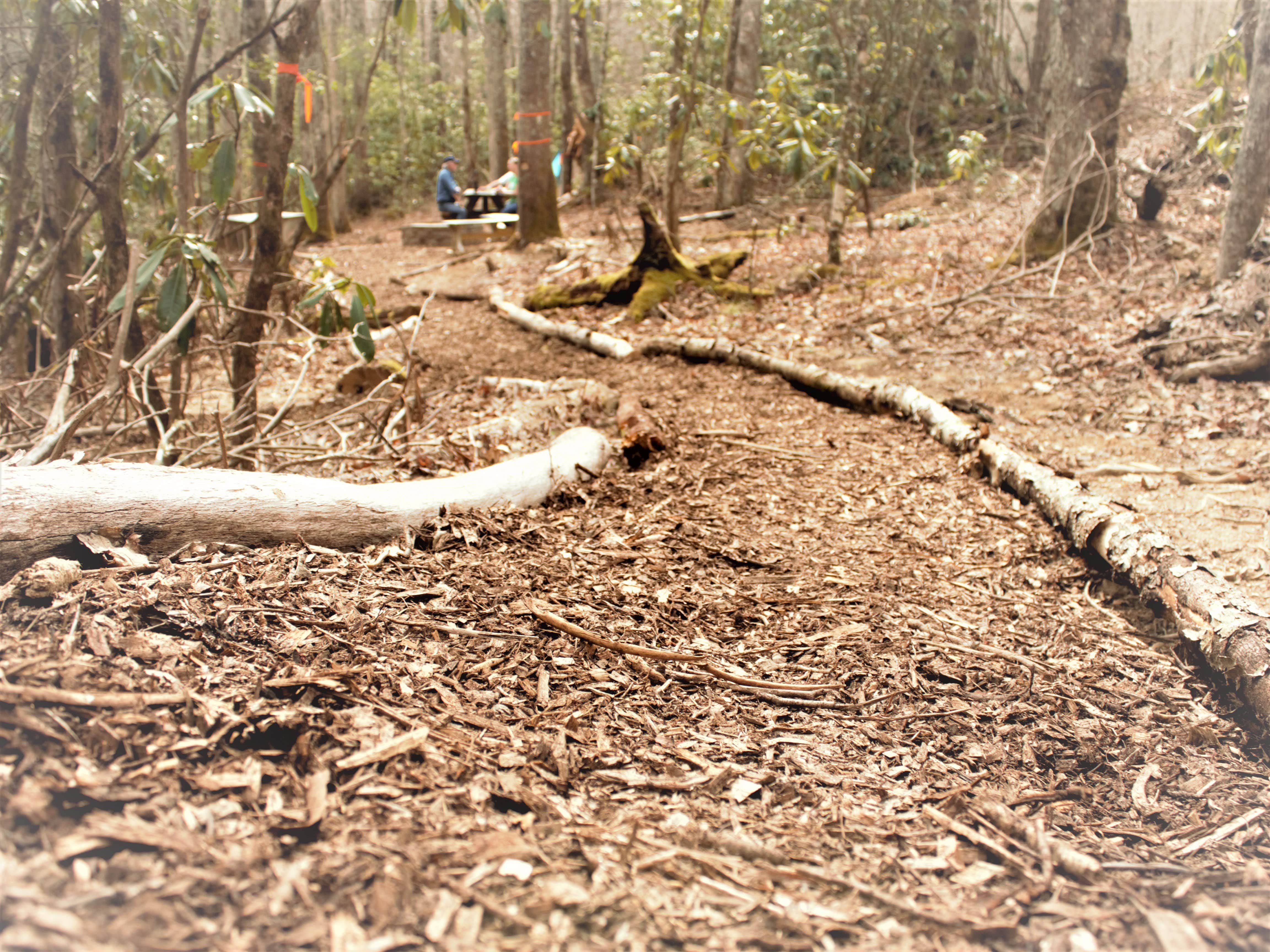 Camper-submitted photo at Backside Campground at Nantahala near Nantahala National Forest