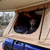 Review photo of Inks Lake State Park Campground by Bryce M., January 29, 2023