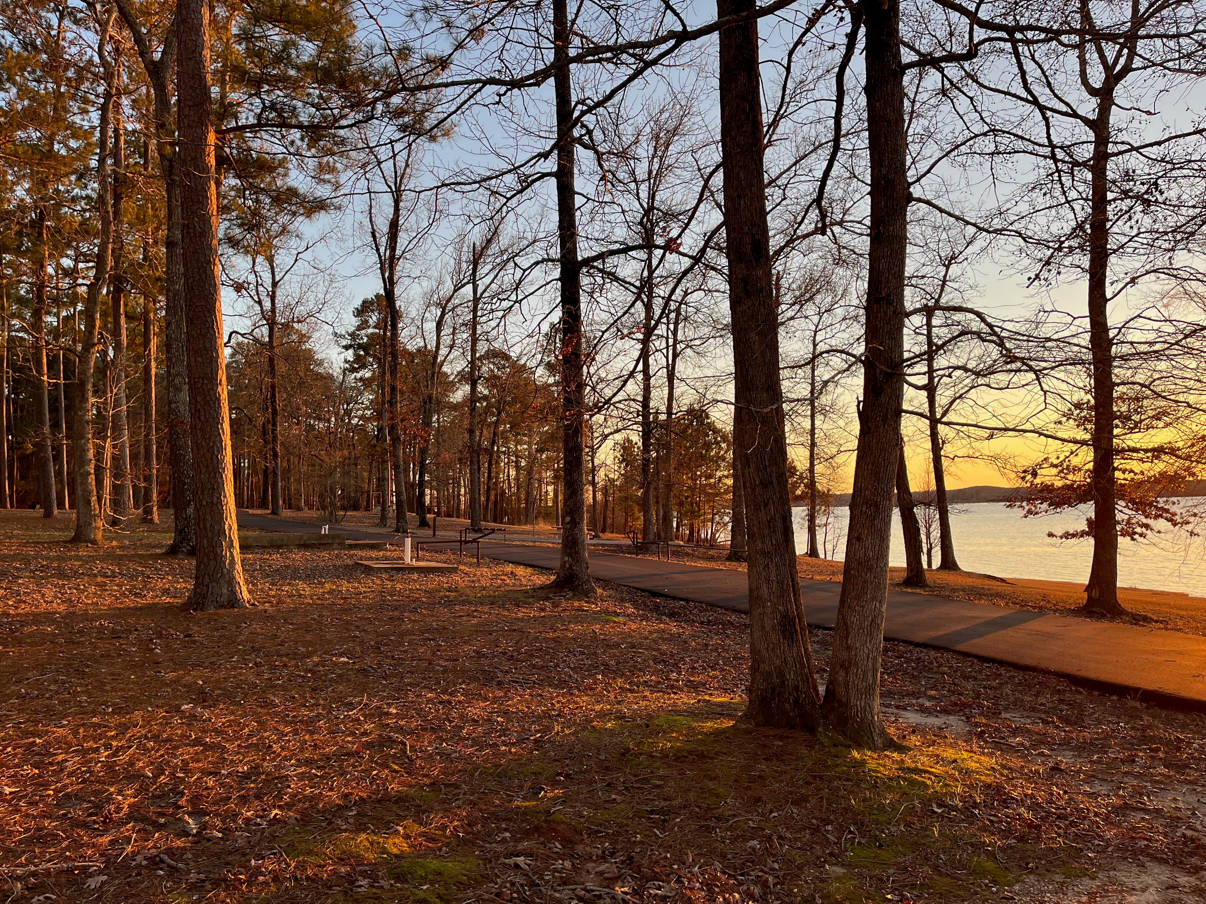 Camper-submitted photo at COE Sam Rayburn Reservoir San Augustine Park near Steinhagen Lake