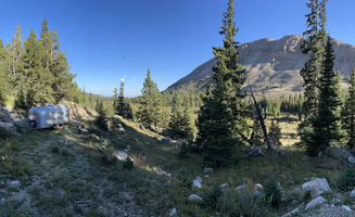 Aron H.'s photo at Wandering Moose Meadows near Fairplay, CO