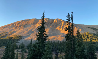 Camping near Almgren Tie Camp: Wandering Moose Meadows, Alma, Colorado