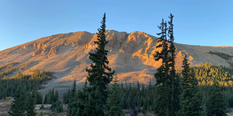 Camper submitted image from Wandering Moose Meadows