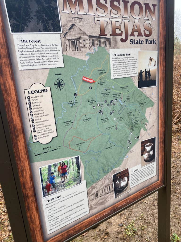 Quinton C.'s photo of camping with pets at Mission Tejas State Park Campground near Grapeland, TX