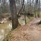 Review photo of Mission Tejas State Park Campground by Quinton C., January 30, 2023