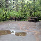 Review photo of Mora Campground — Olympic National Park by Natalie B., September 29, 2018