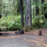Review photo of Mora Campground — Olympic National Park by Natalie B., September 29, 2018