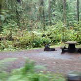 Review photo of Mora Campground — Olympic National Park by Natalie B., September 29, 2018