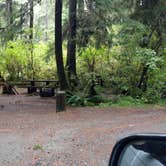 Review photo of Mora Campground — Olympic National Park by Natalie B., September 29, 2018