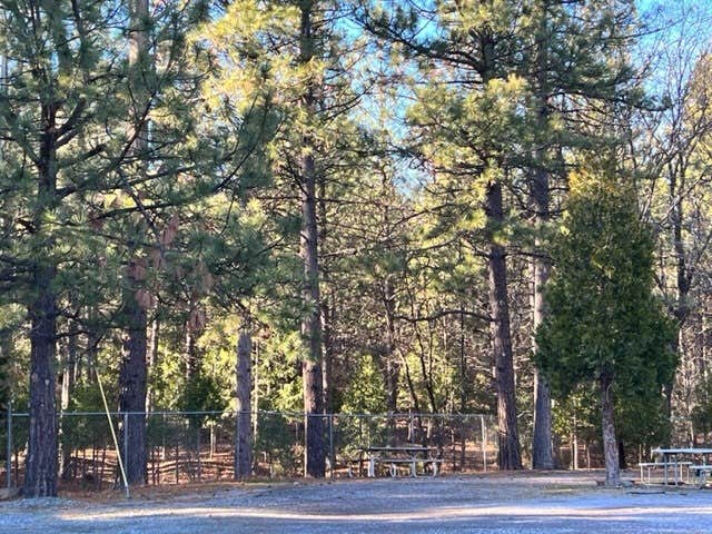 Camper submitted image from Trailer Lane Campground - 2