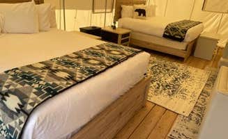 The Dyrt's photo of camping with pets at Yellowstone Dreamin Camp near Livingston, MT