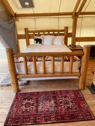 The Dyrt's photo of camping with pets at Yellowstone Dreamin Camp near Custer Gallatin National Forest