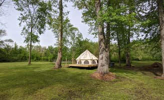 Julie H.'s photo of tent camping at WaterTrail Ventures Paddle Respite near Cedar Springs, MI