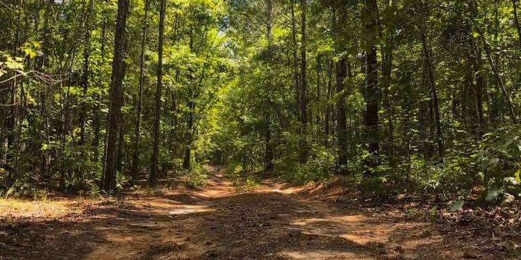 Camper submitted image from Free Range Humanity