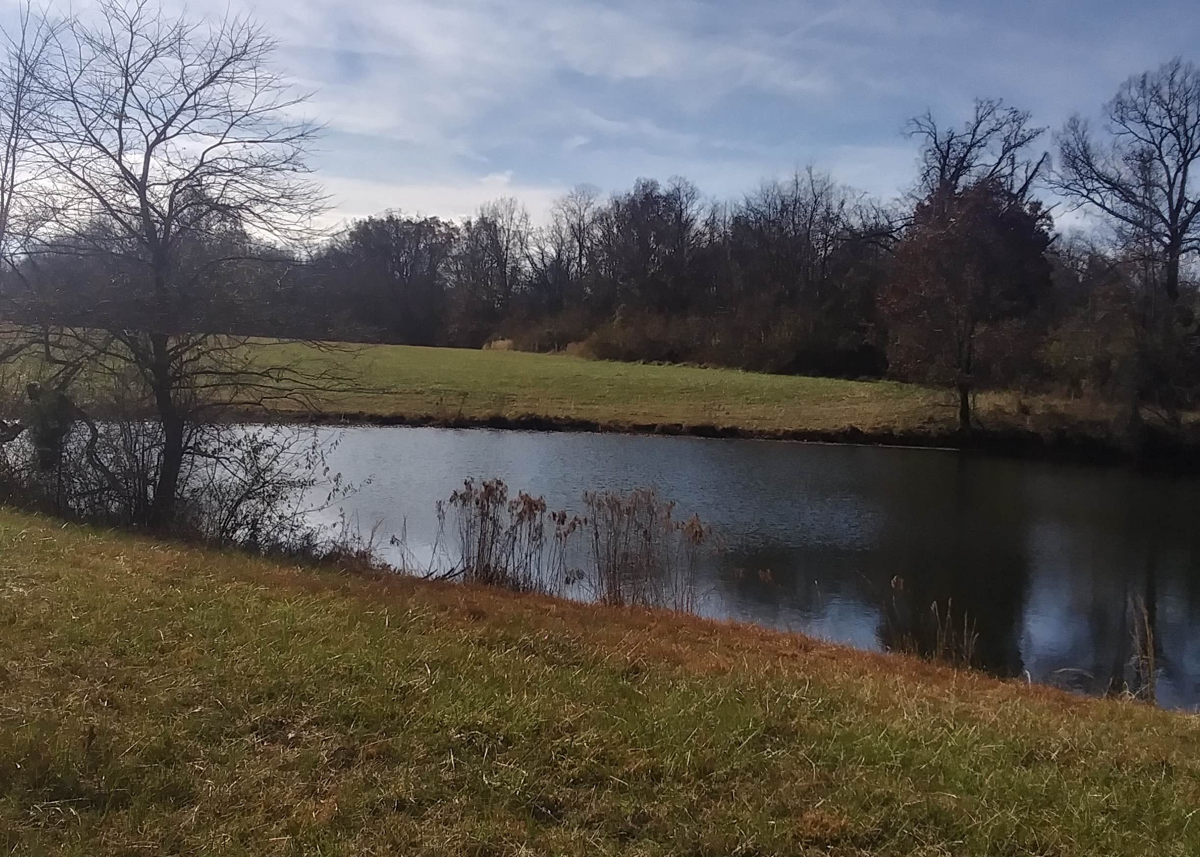 View All