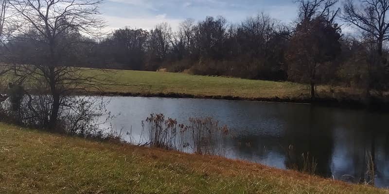 Camper submitted image from Willow Bend Retreat - Temporarily Closed