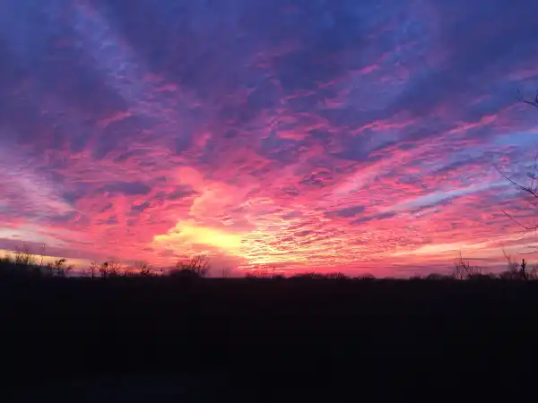 Camper-submitted photo at SHAMBA Farm near Austin, TX