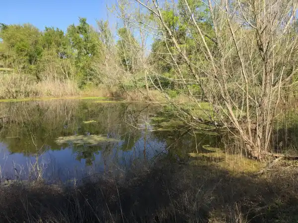 Camper-submitted photo at SHAMBA Farm near Austin, TX