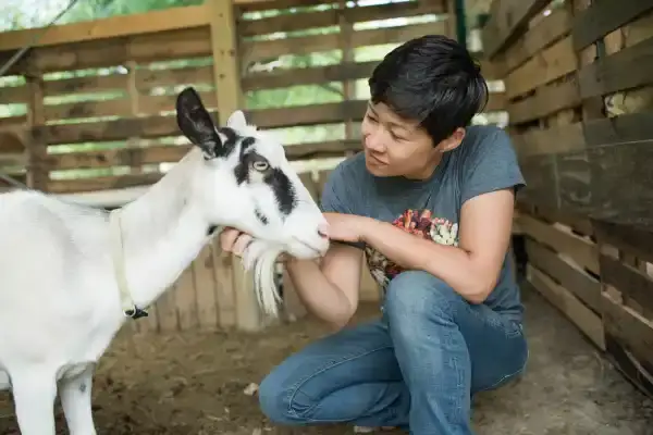 Camper-submitted photo at SHAMBA Farm near Austin, TX