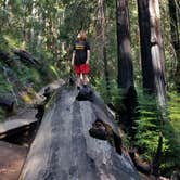 Review photo of Lower Blooms Creek — Big Basin Redwoods State Park — CAMPGROUND CLOSED by Mauriel O., September 29, 2018