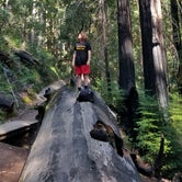 Review photo of Big Basin Redwoods State Park — Big Basin Redwoods State Park - CAMPGROUND CLOSED by Mauriel O., September 29, 2018