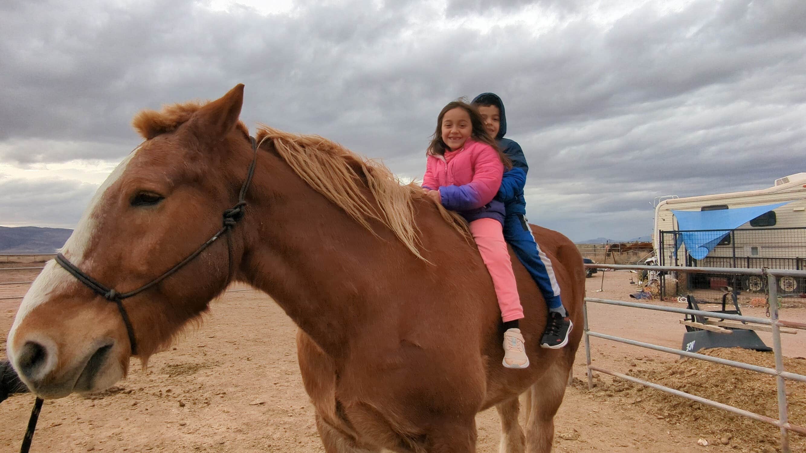 Camper-submitted photo at SaddleHawk Ranch near Columbus, NM