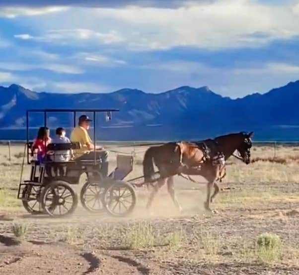 Camper-submitted photo at SaddleHawk Ranch near Columbus, NM