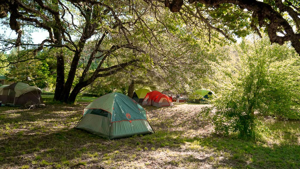 Camper-submitted photo at Mendocino Magic near Covelo, CA