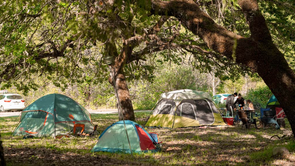 Camper-submitted photo at Mendocino Magic near Covelo, CA