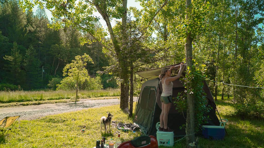 Ashley F.'s photo of camping with pets at Mendocino Magic near Mendocino National Forest