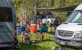 Ashley F.'s photo of camping with pets at Mendocino Magic near Branscomb, CA