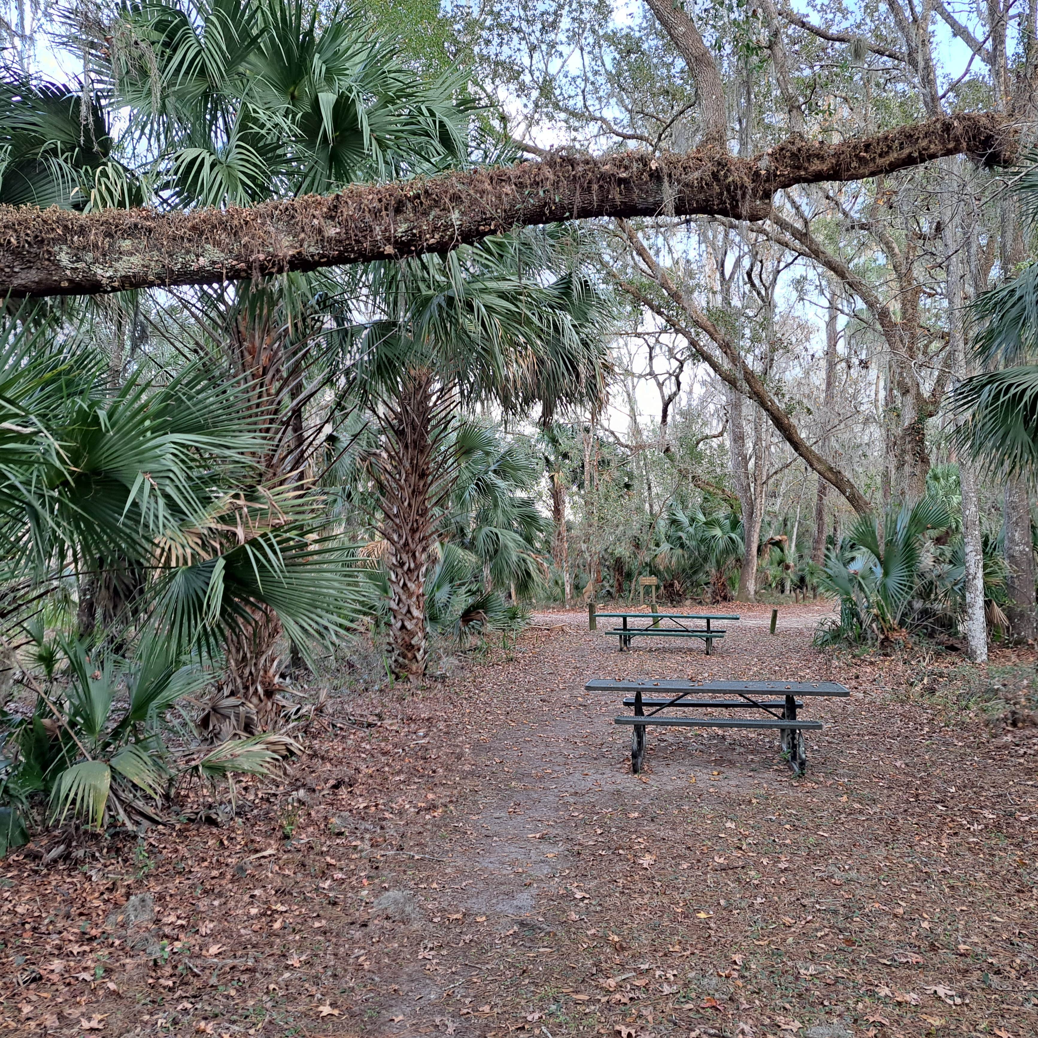 Escape to Serenity: Your Guide to Florida's Lake Eaton Campground