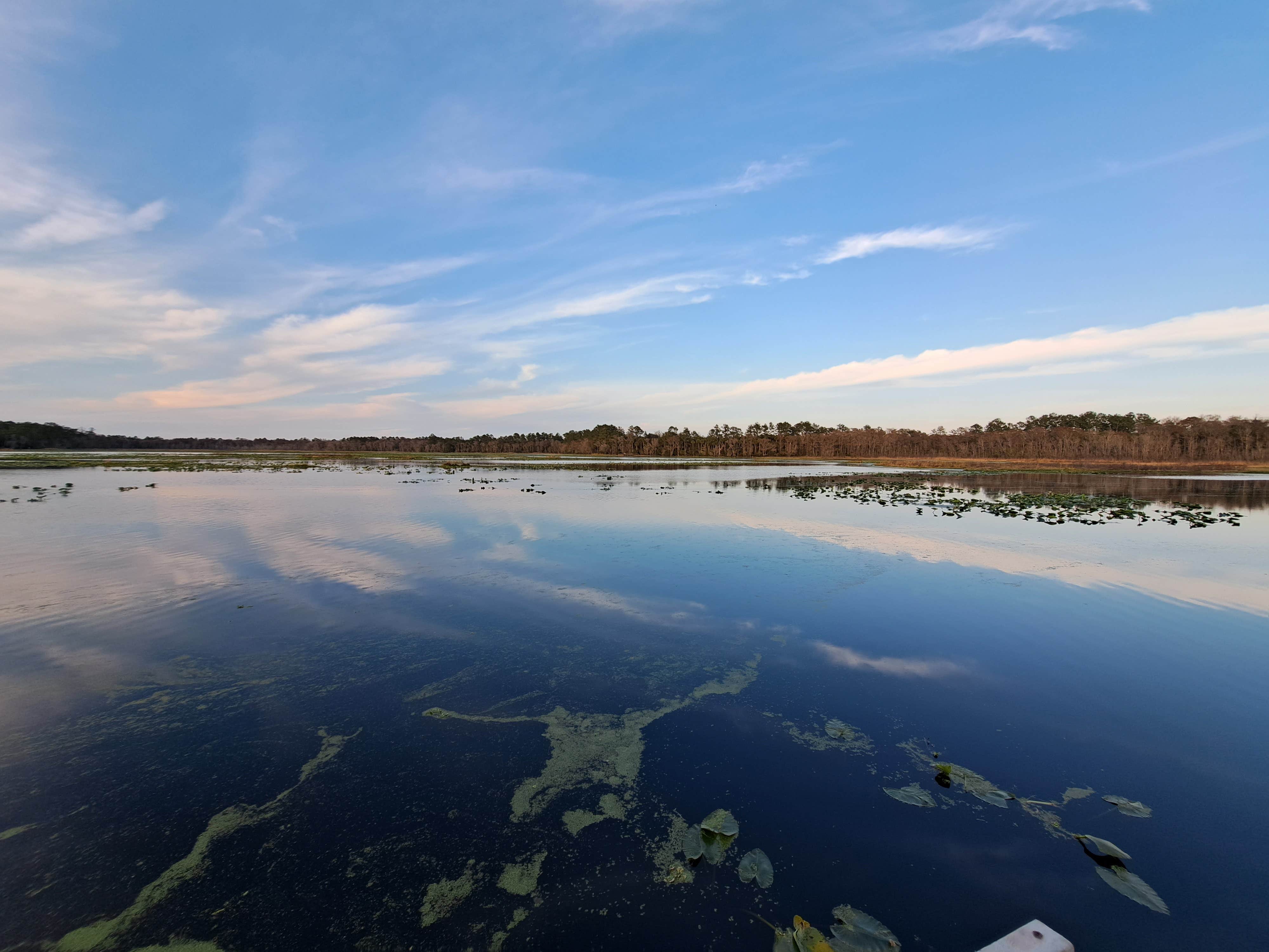 Camper submitted image from Lake Eaton Campground - 4