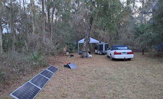 Camping near Mill Dam Group Camp: Lake Eaton Campground, Ocala National Forest, Florida