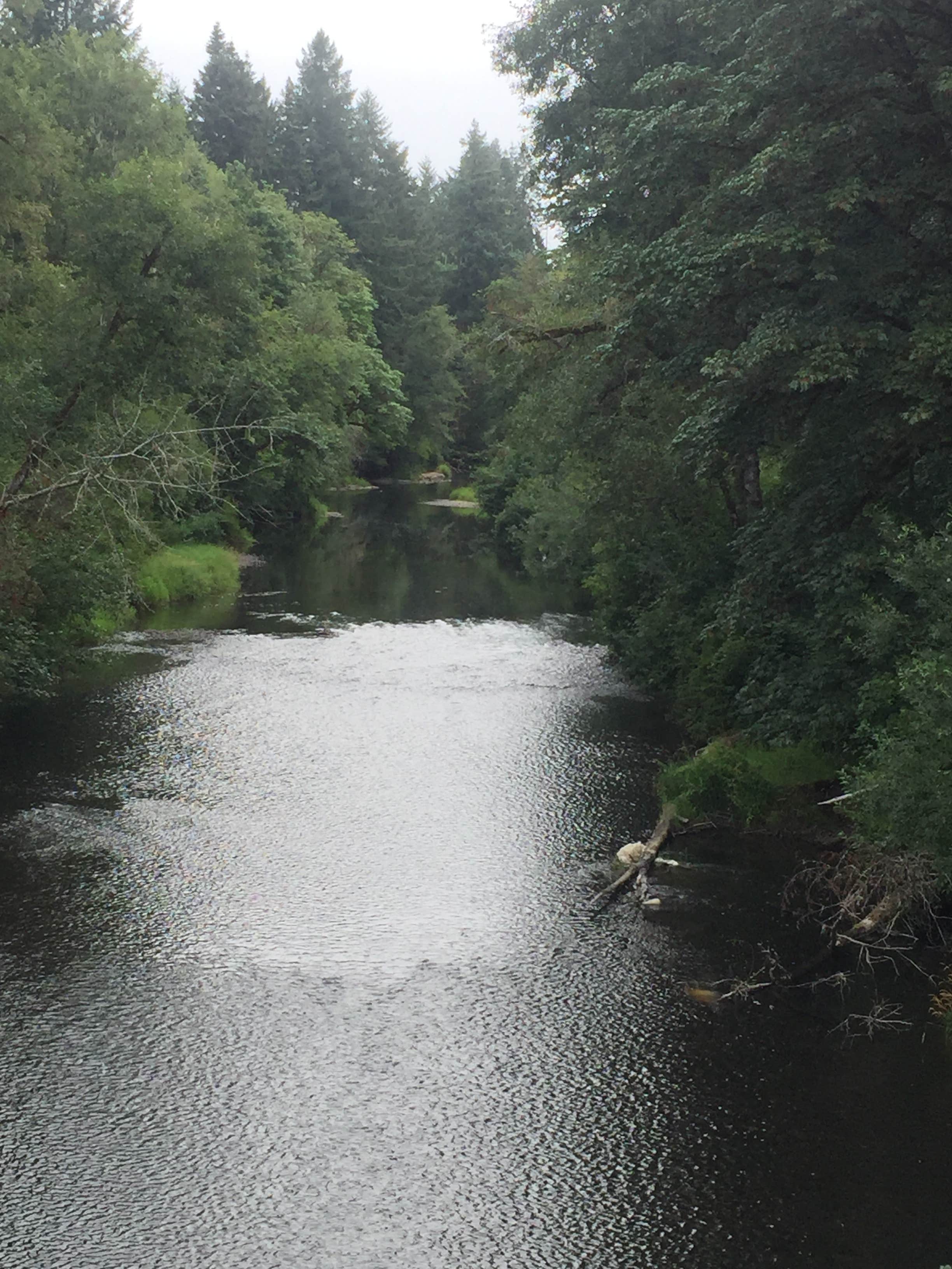 Camper submitted image from Salmonberry County Park Campground - 4