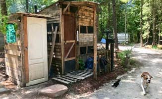 Donte D.'s photo of camping with pets at Free Range Humanity near Texarkana, TX
