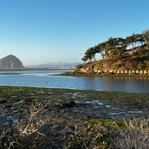 Review photo of Morro Bay State Park Campground by Patrick J., February 2, 2023