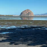 Review photo of Morro Bay State Park Campground by Patrick J., February 2, 2023