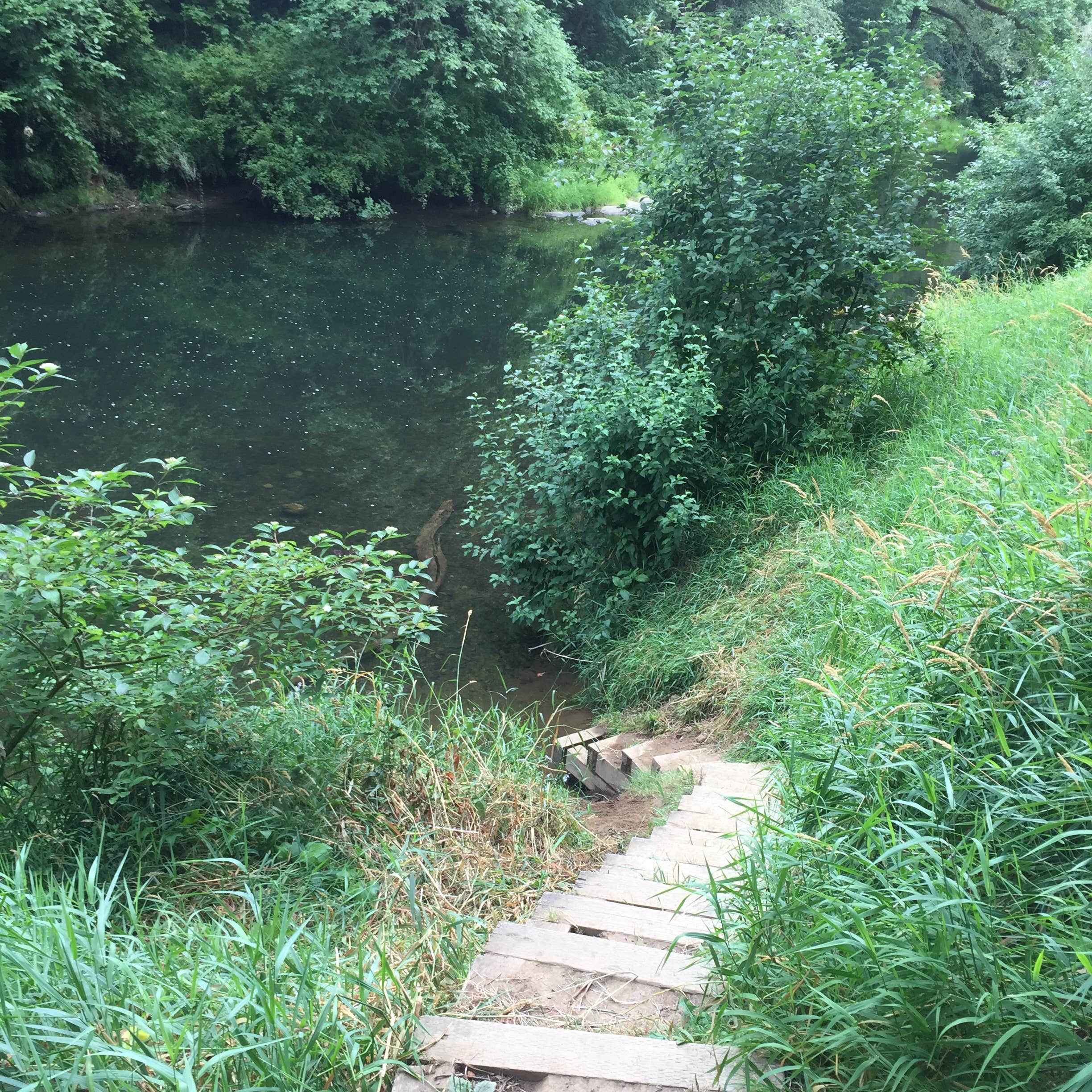 Salmonberry County Park Campground Camping The Dyrt