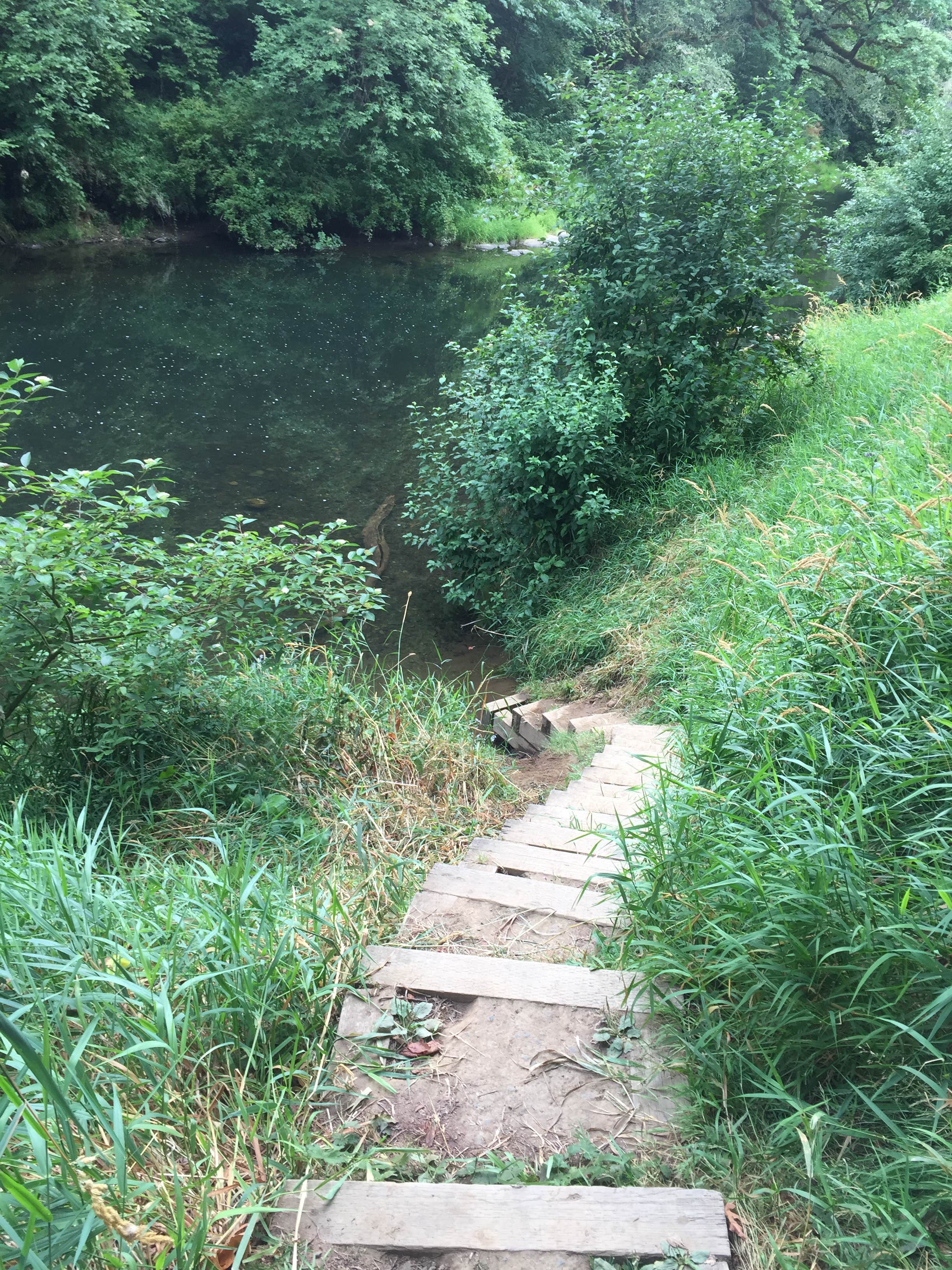 Camper submitted image from Salmonberry County Park Campground - 3