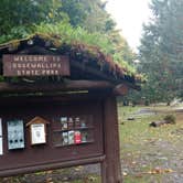 Review photo of Dosewallips State Park Campground by Natalie B., September 29, 2018