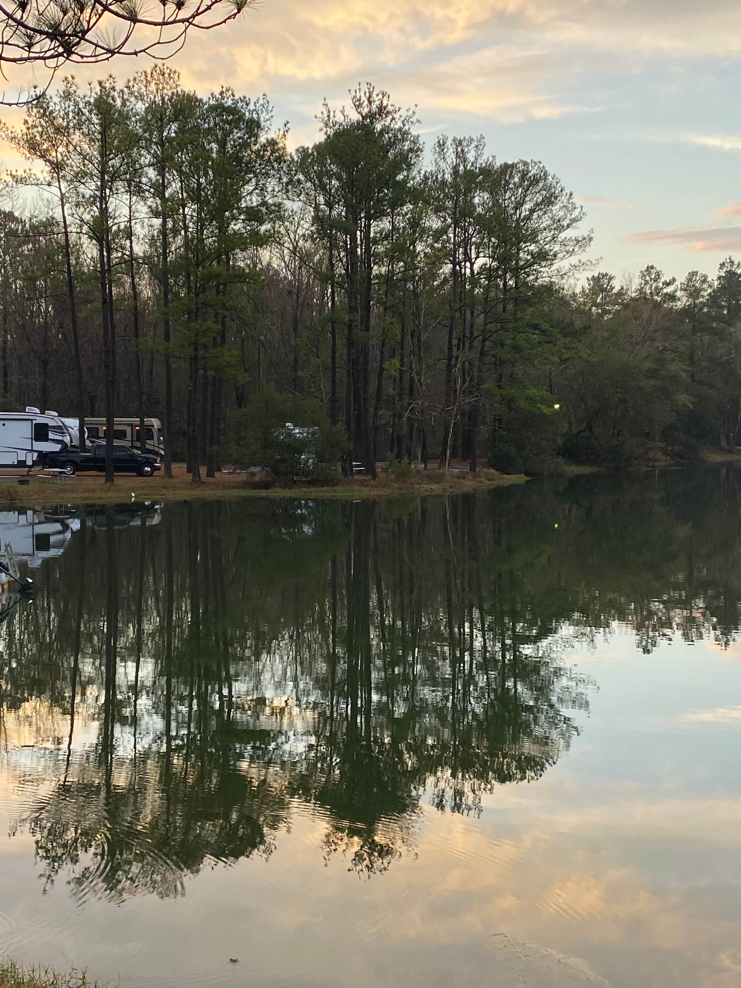 Camper-submitted photo at Lake Harmony RV Park near Darien, GA