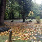 Review photo of Dosewallips State Park Campground by Natalie B., September 29, 2018