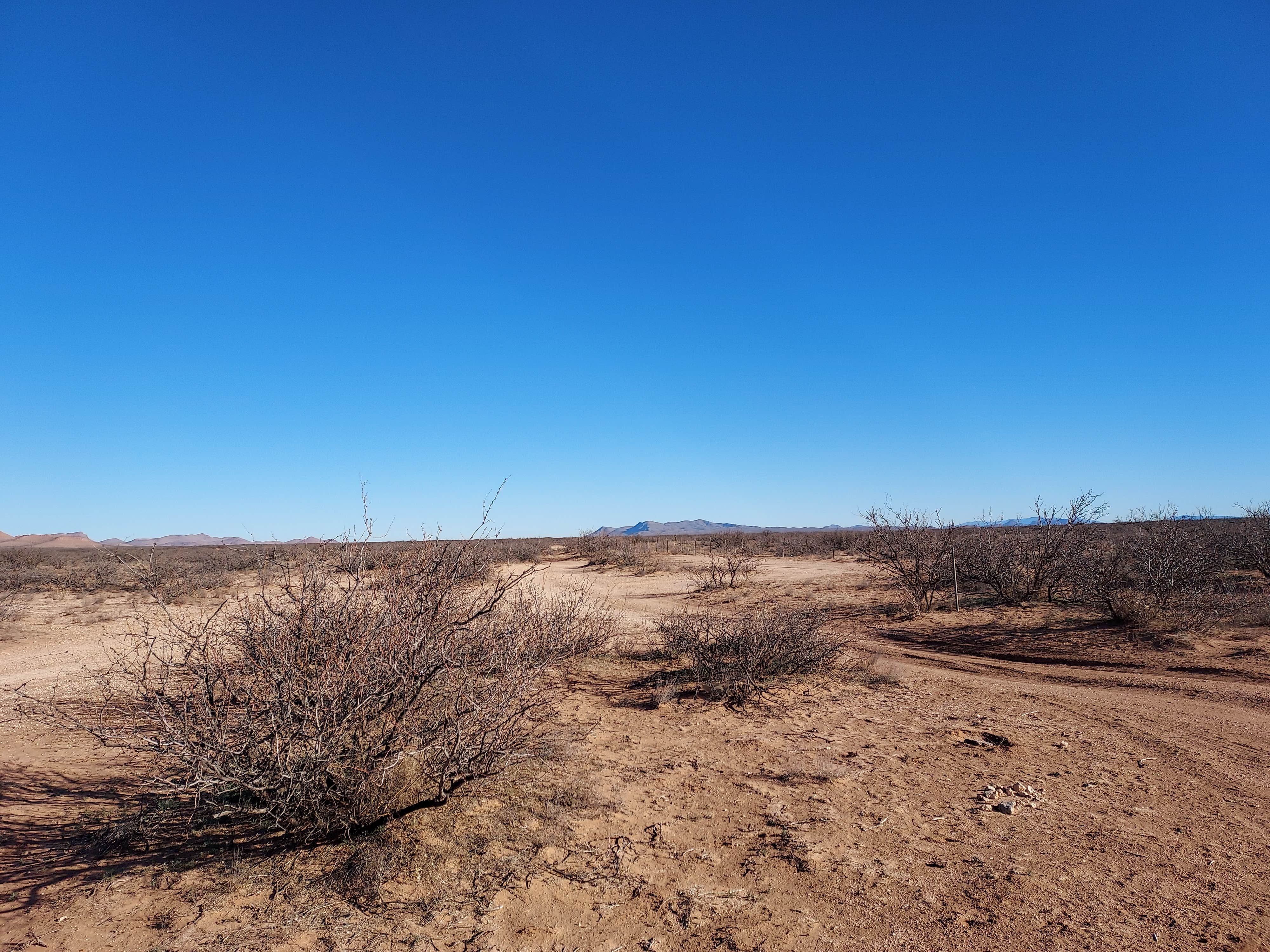 Camper-submitted photo at Dispersed Camping off Corralitos Rd on I-10 near Hatch, NM