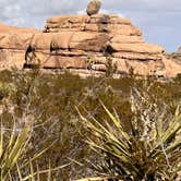 Review photo of Indian Cove Campground — Joshua Tree National Park by Brad P., January 30, 2023