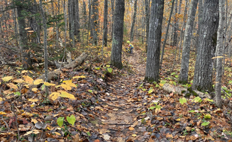 Abe C.'s photo of camping with pets at Sailor Springs Glamping near Apostle Islands National Lakeshore