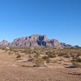 Review photo of BLM Palm Canyon Road Dispersed by Greg L., February 2, 2023