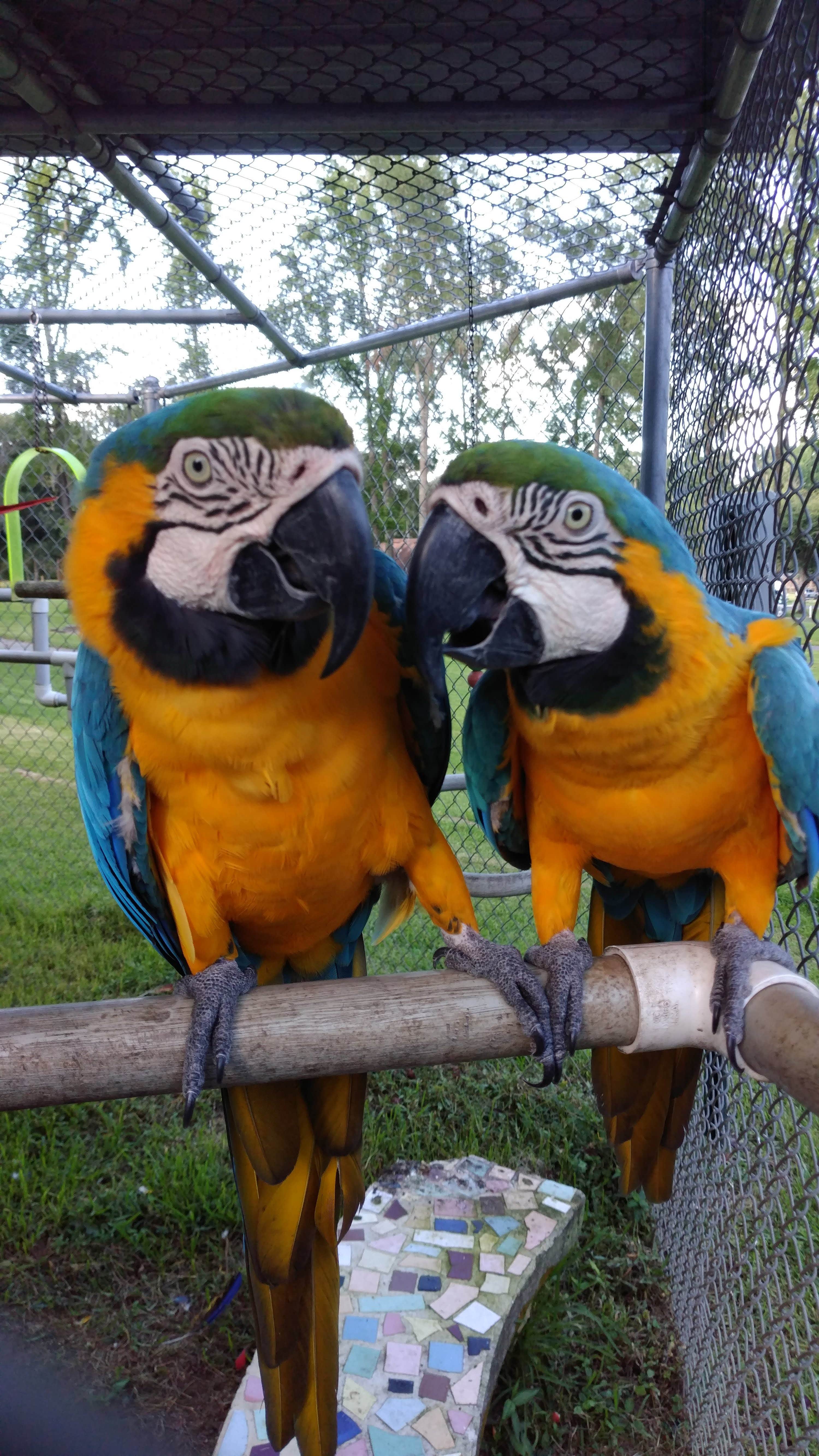 Camper-submitted photo at Travelers Campground near Waldo, FL