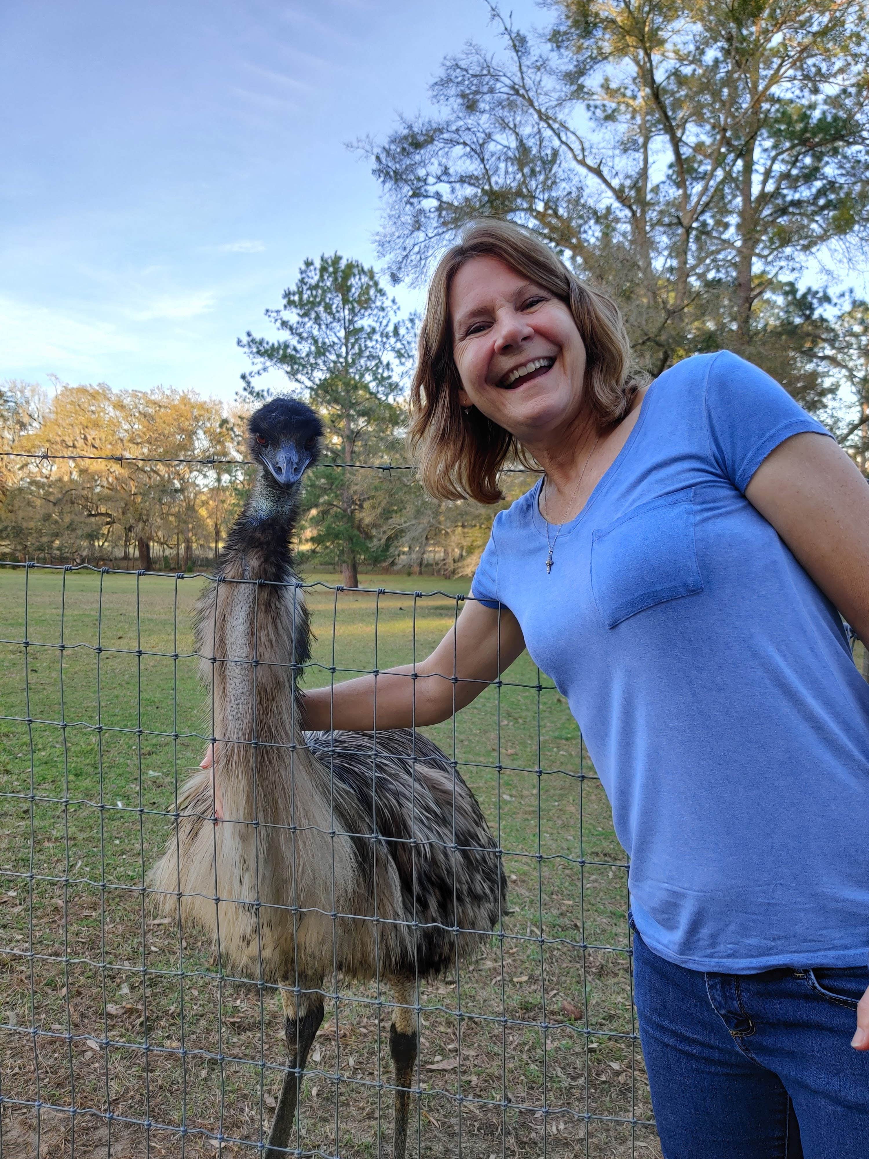 Camper-submitted photo at Travelers Campground near Waldo, FL