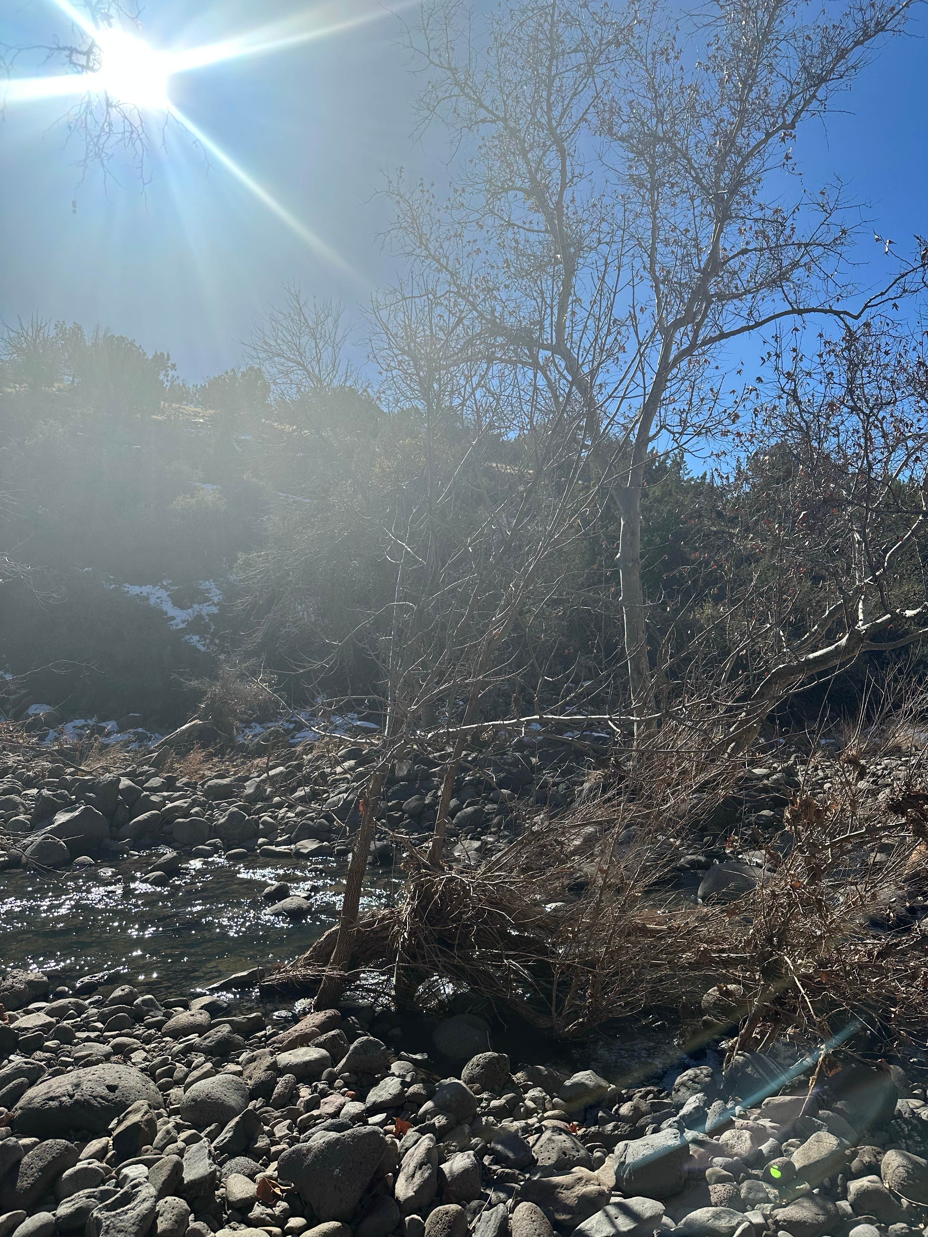 Toree M.'s photo of a dispersed camping area at FR689 Dispersed Camping near Happy Jack, AZ