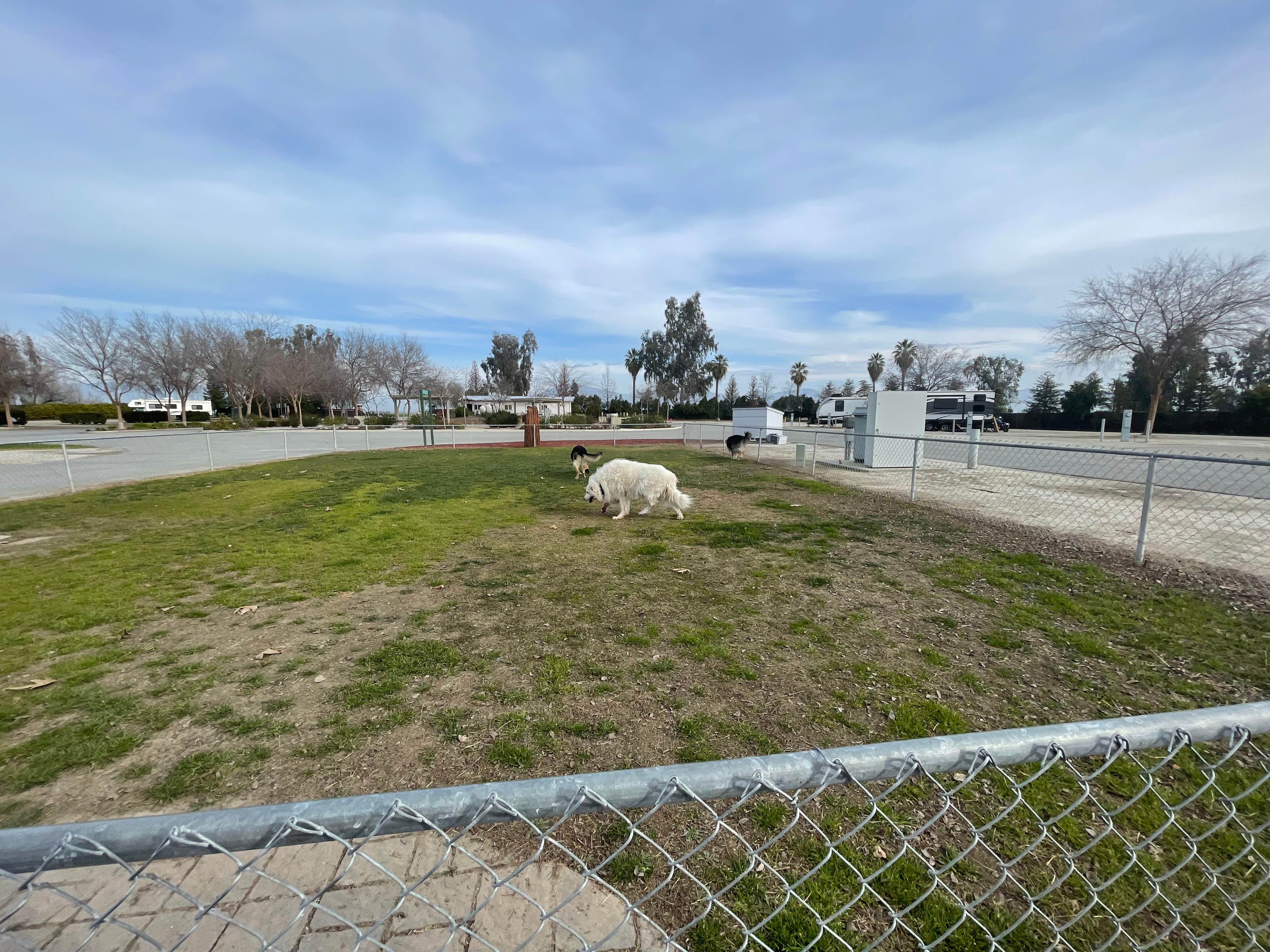 Camper-submitted photo at Bear Mountain RV Park near Tupman, CA